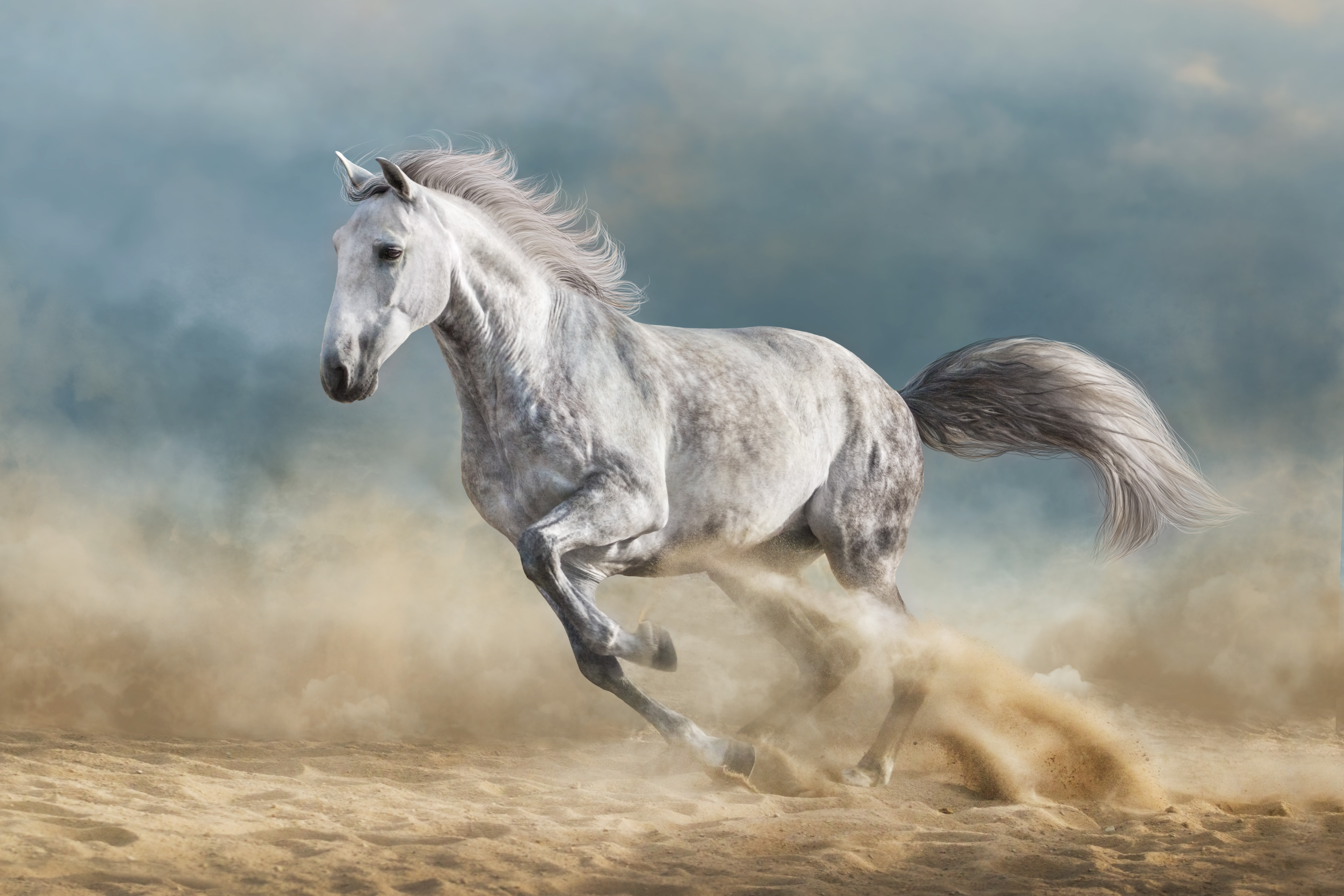 Original horse